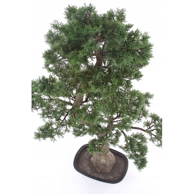 Kopu ® kunstplant bonsai ceder ca. 100x60 cm in zwarte plastic pot 3495623 large