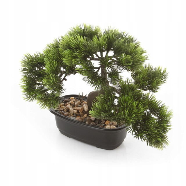 Kopu ® bonsai dennen boompje ca. 23x30 cm met zwarte sierpot 3495624 large