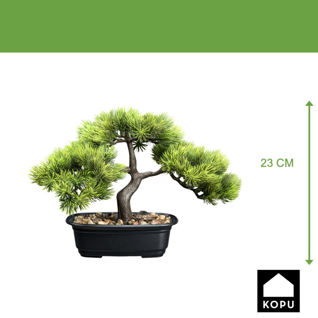 Kopu ® bonsai dennen boompje ca. 23x30 cm met zwarte sierpot 3495624 large