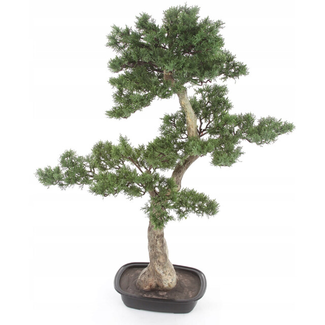 Kopu ® kunstplant bonsai ceder ca. 100x60 cm in zwarte plastic pot 3495623 large