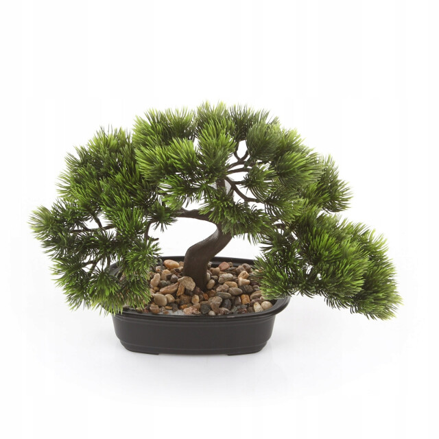 Kopu ® bonsai dennen boompje ca. 23x30 cm met zwarte sierpot 3495624 large