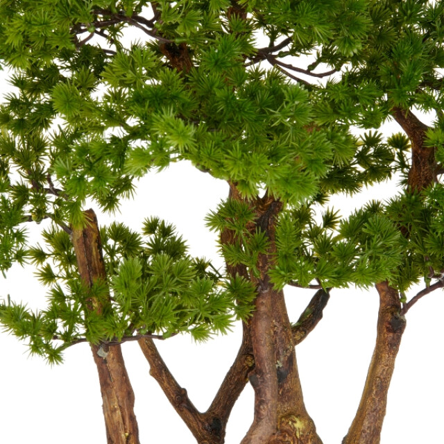 Kopu ® kunstplant bonsai lariks 53 cm met zwarte pot bonsai boompje 3496784 large