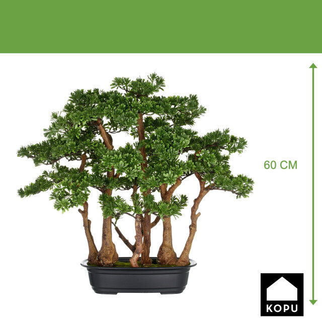 Kopu ® 7 stammen theeblad bonsai 60x60 cm in een zwarte plastic pot 3496783 large