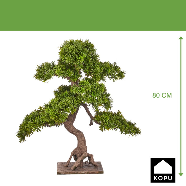 Kopu ® 7 stammen podocarpus macrophyllus bonsai 80 cm houten voet 3496785 large
