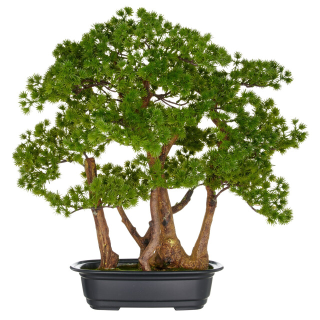 Kopu ® kunstplant bonsai lariks 53 cm met zwarte pot bonsai boompje 3496784 large