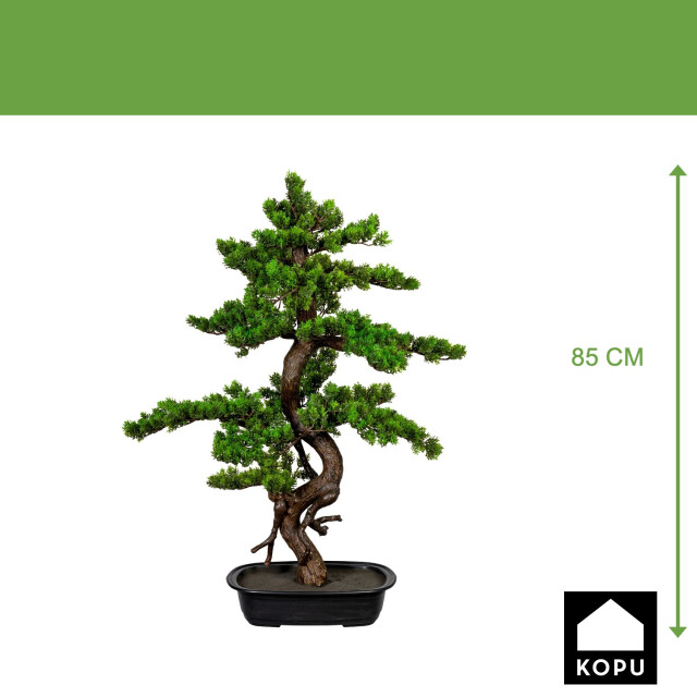 Kopu ® bonsai mirte ca. 85x55 cm- in een zwarte plastic pot 3496789 large