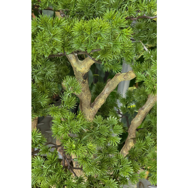 Kopu ® kunstplant bonsai lariks 53 cm met zwarte pot bonsai boompje 3496784 large