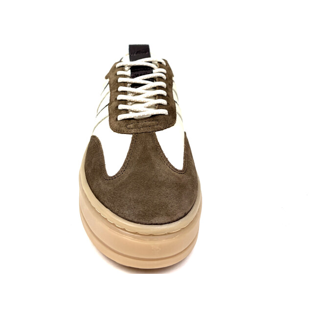 Poelman Lpanemone-29poe11 LPANEMONE-29POE11 large