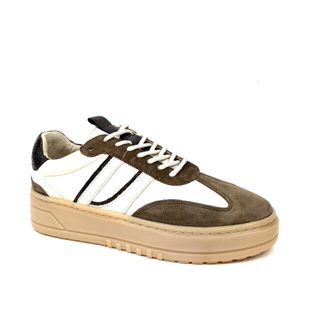 Poelman Lpanemone-29poe11 LPANEMONE-29POE11 large