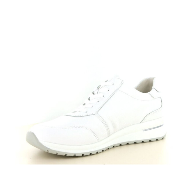 Waldläufer 928002 wijdte h 237.10.442 large