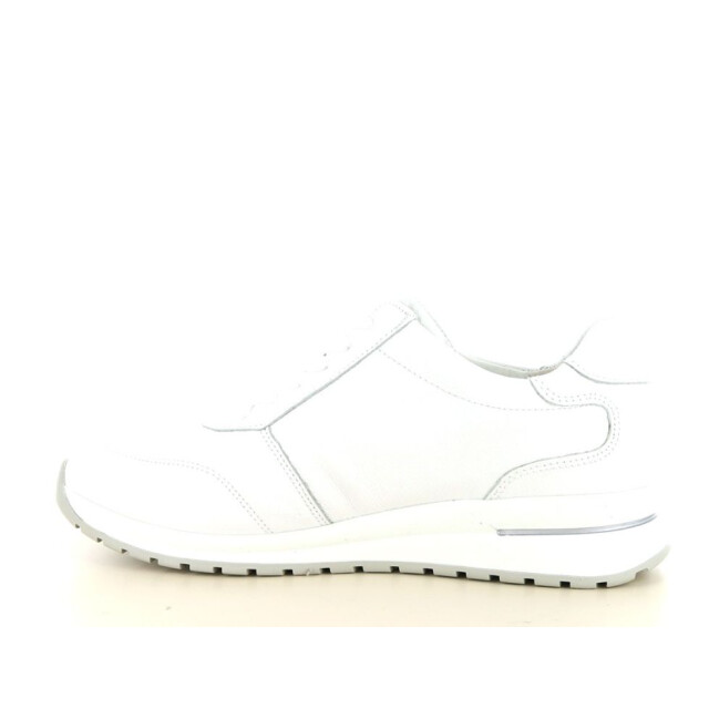 Waldläufer 928002 wijdte h 237.10.442 large