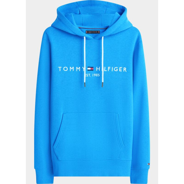 Tommy Hilfiger Hoodie tommy logo hoody mw0mw11599/c4u 204770 large