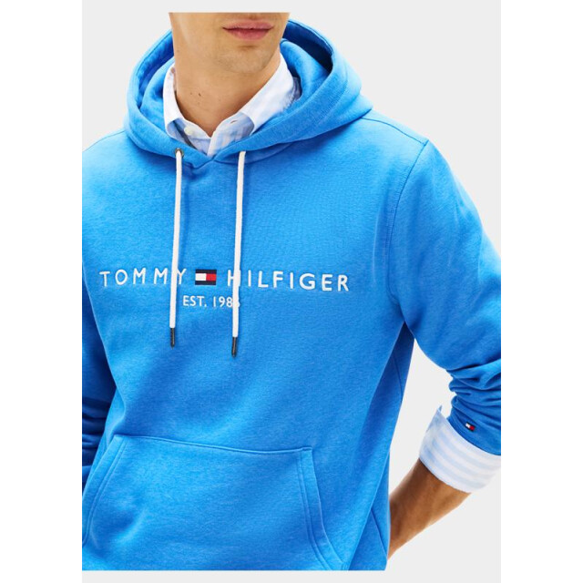 Tommy Hilfiger Hoodie tommy logo hoody mw0mw11599/c4u 204770 large
