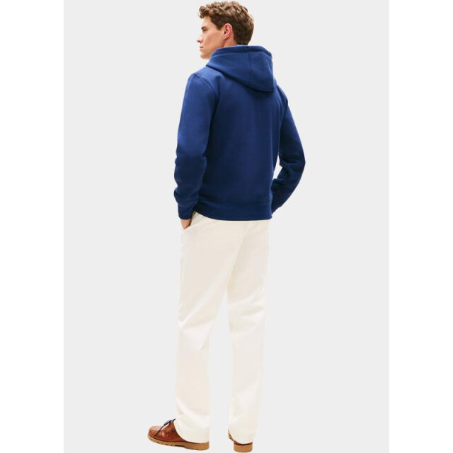 Tommy Hilfiger Hoodie tommy logo hoody mw0mw11599/dcc 204771 large