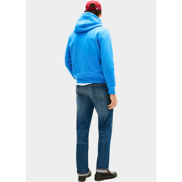 Tommy Hilfiger Hoodie tommy logo hoody mw0mw11599/c4u 204770 large