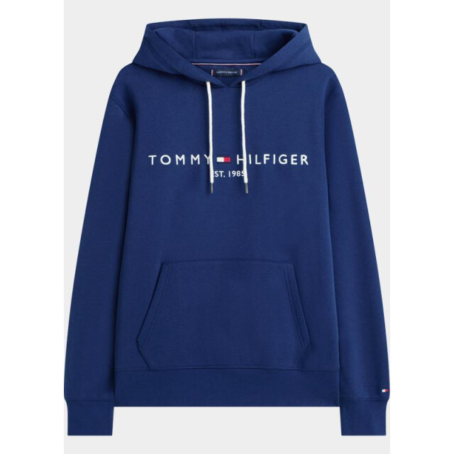 Tommy Hilfiger Hoodie tommy logo hoody mw0mw11599/dcc 204771 large