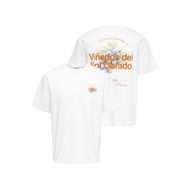 Only & Sons Onsfred life rlx ss print tee noos 22038836 large