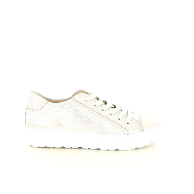 Hartjes 162.1430 wijdte h 237.98.445 large