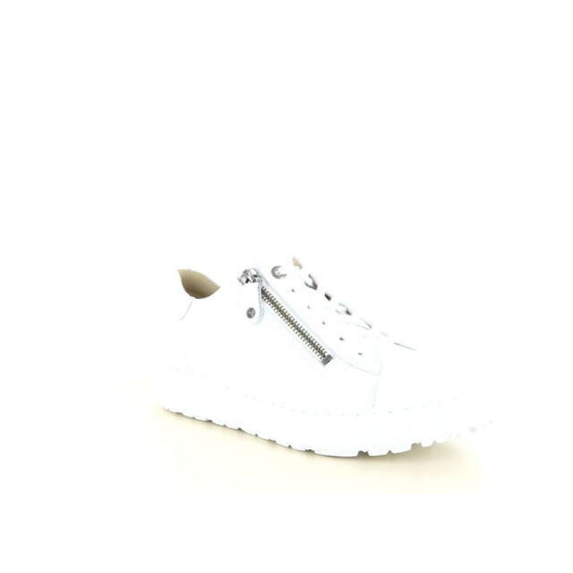 Hartjes 162.1409 wijdte h 237.10.290 large