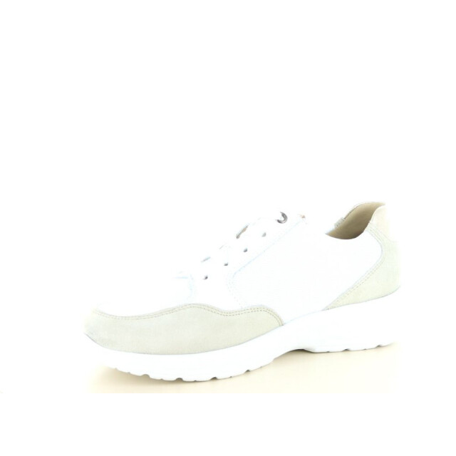 Hartjes 162.2603 wijdte k 237.10.443 large