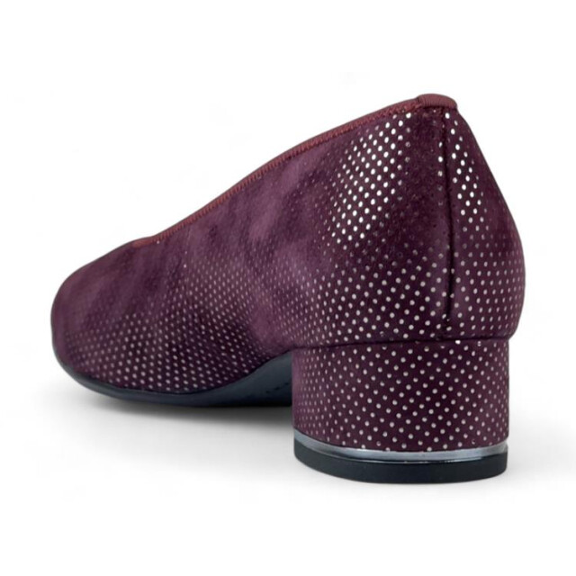 Ara 12-21838 graz 12-21838 Graz large