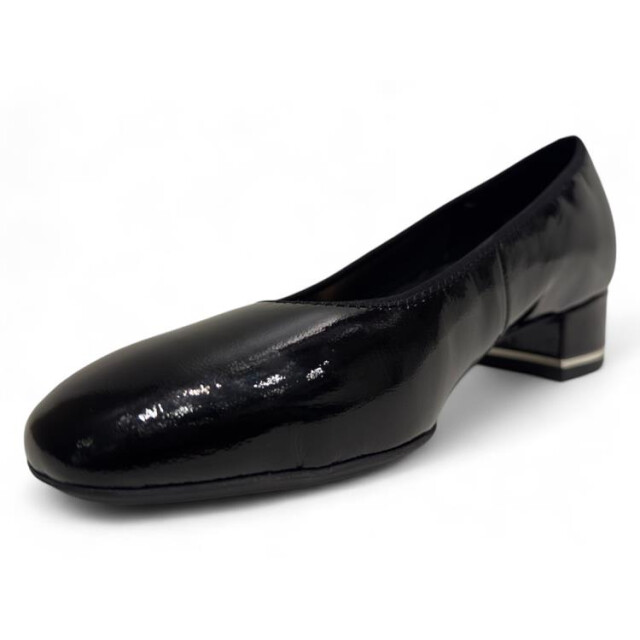 Ara 12-21838 graz 12-21838 Graz large