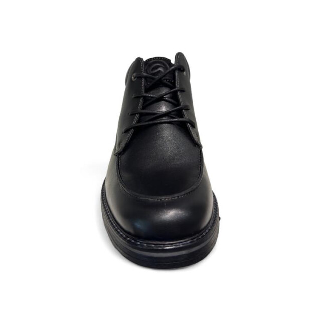 Ara 11-26502 alessio 11-26502 Alessio large