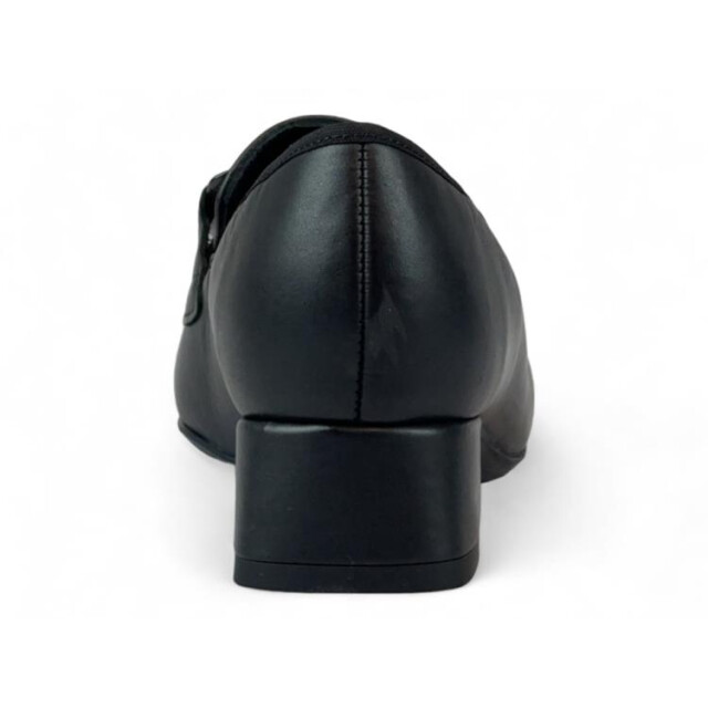 Ara 12-20416 graz 12-20416 Graz large