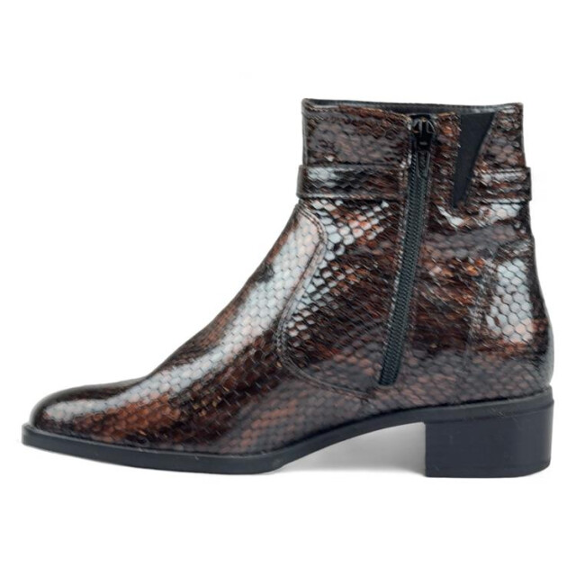 Ara 12-31803 graz 12-31803 Graz large