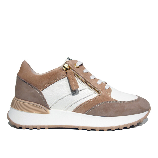 DL Sport 5047 5047 large