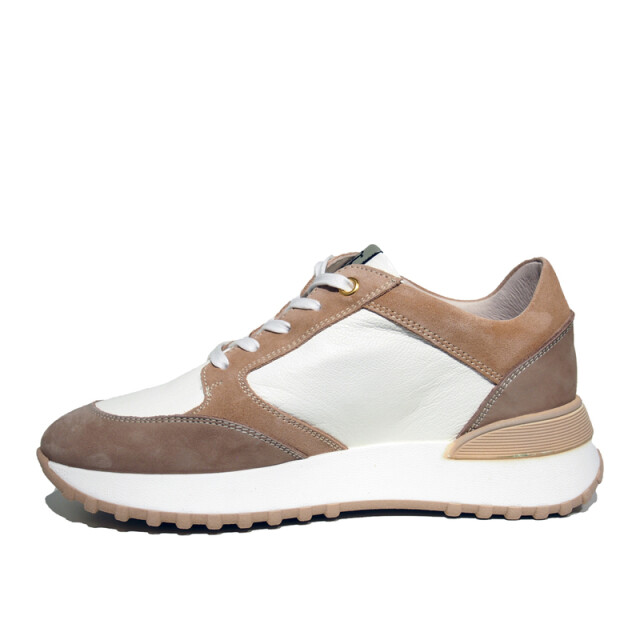 DL Sport 5047 5047 large