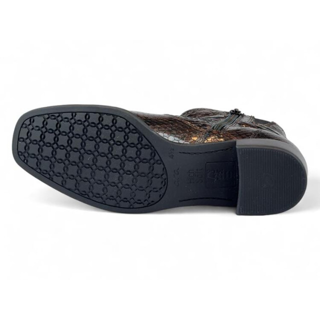 Ara 12-31803 graz 12-31803 Graz large