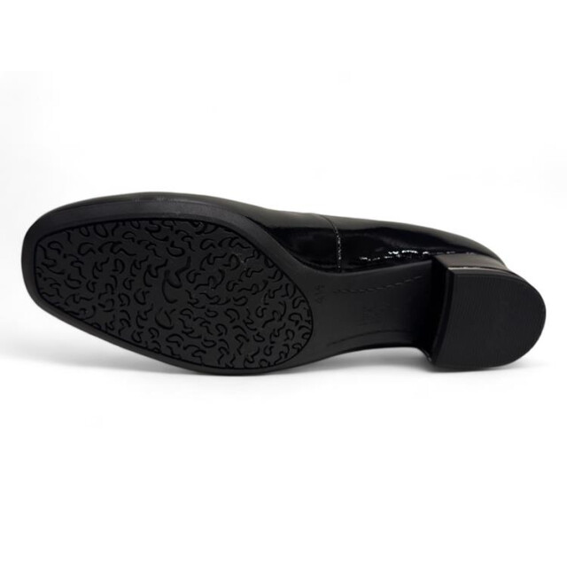 Ara 12-21838 graz 12-21838 Graz large