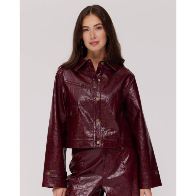 Harper & Yve Jack ss6n200 bina Harper & Yve Jack SS6N200 BINA large