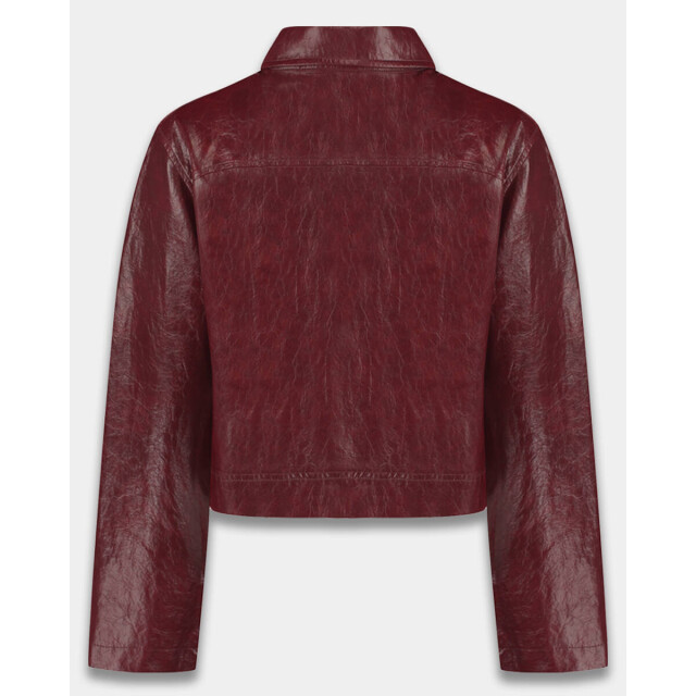 Harper & Yve Jack ss6n200 bina Harper & Yve Jack SS6N200 BINA large