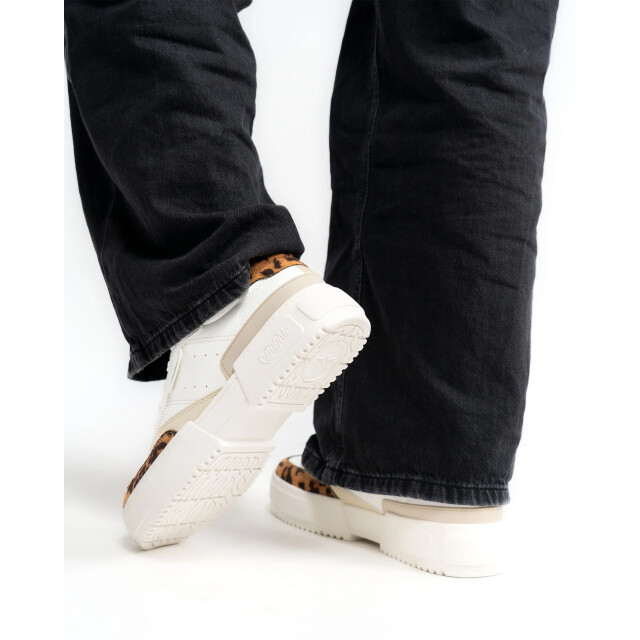 Buffalo Rose camp sneaker 61455 large