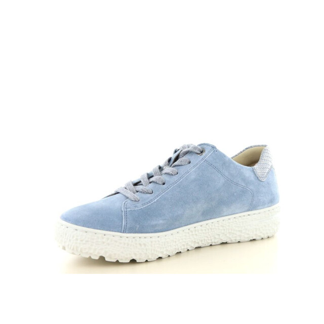 Hartjes 162.1401 wijdte h 237.80.263 large