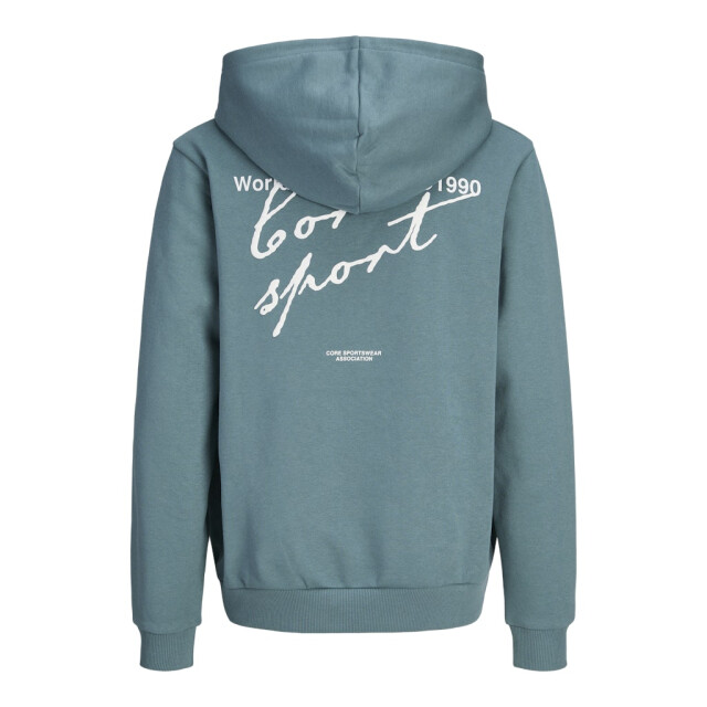 Jack & Jones Jcodust script sweat hood sa26 jnr oud 3209.23.0003 large