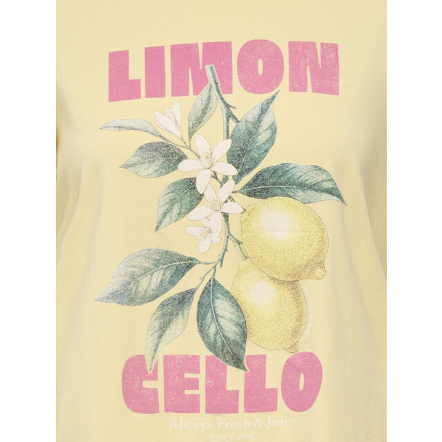 Only Onllucy monja ss top jrs noos - 4339.10.0007 large