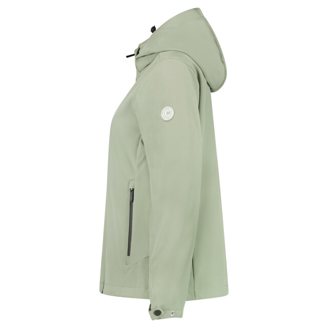 Cars 6226644 SAFA Polyester / EA Moss large