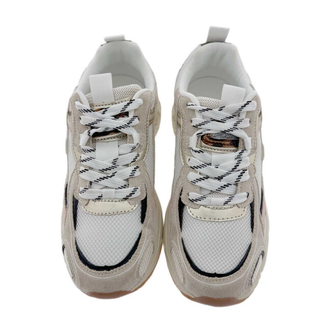 Posh C1451715psh sneakers C1451715PSH large