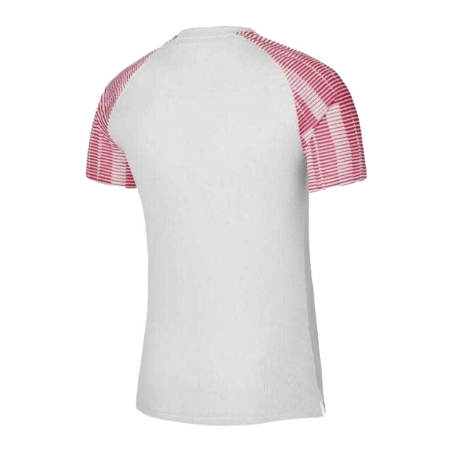 Nike Heren academy dri-fit jersey UTPP6414_whitered large