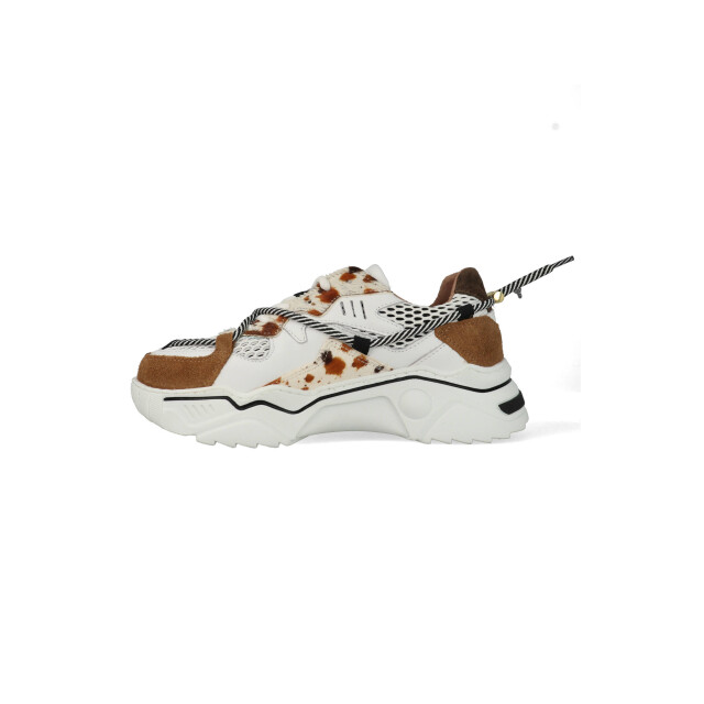 DWRS Label Jupiter hair on cow j5554c-100-1189 / bruin J5554C large