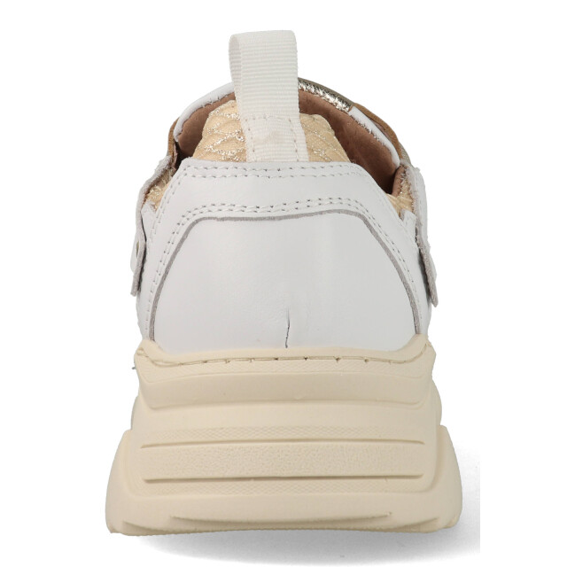 DWRS Label Pluto j5217c-88-1173 / champagne J5217C large