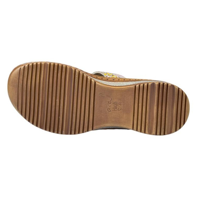 Ara 12-29003 hawaii 12-29003 HAWAII large