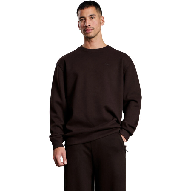 Aeden Teslo ganache A22243108-206 large