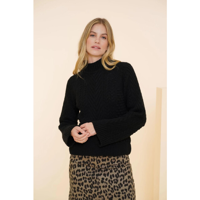 Geisha 44953-43 pullover cable with turtle 4057777032 large