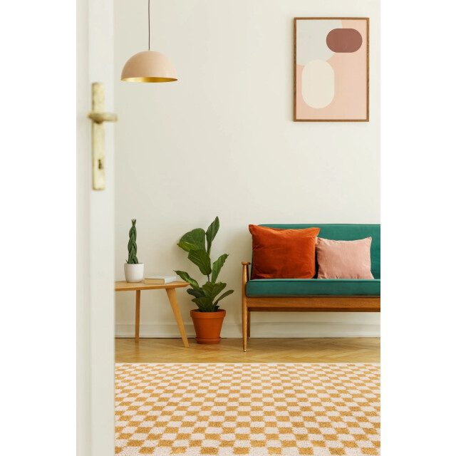 AFK Living Hoogpolig ruitmotief tapijt zacht en volumineus checkers 3445840 large