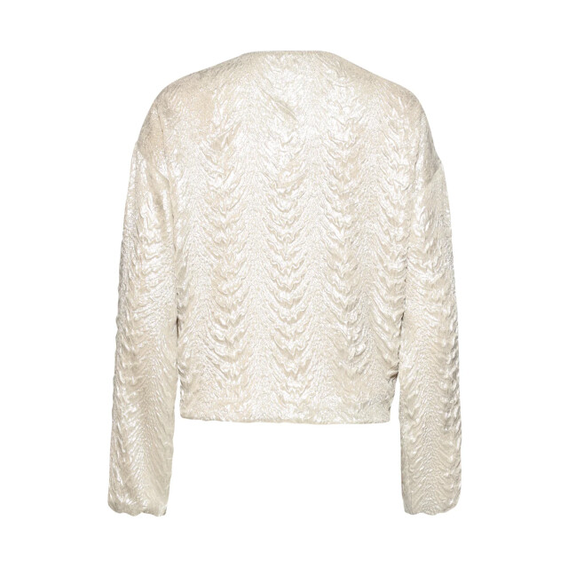 Smashed Lemon Bomberjack met slang print en metallic glans | 8718679013925 large