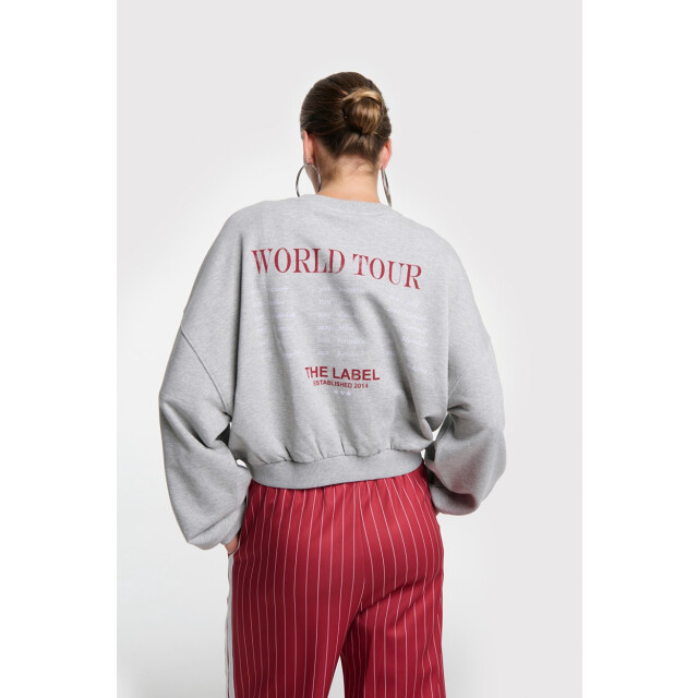 Alix The Label Eagel sweater melee 4209.87.0006 large